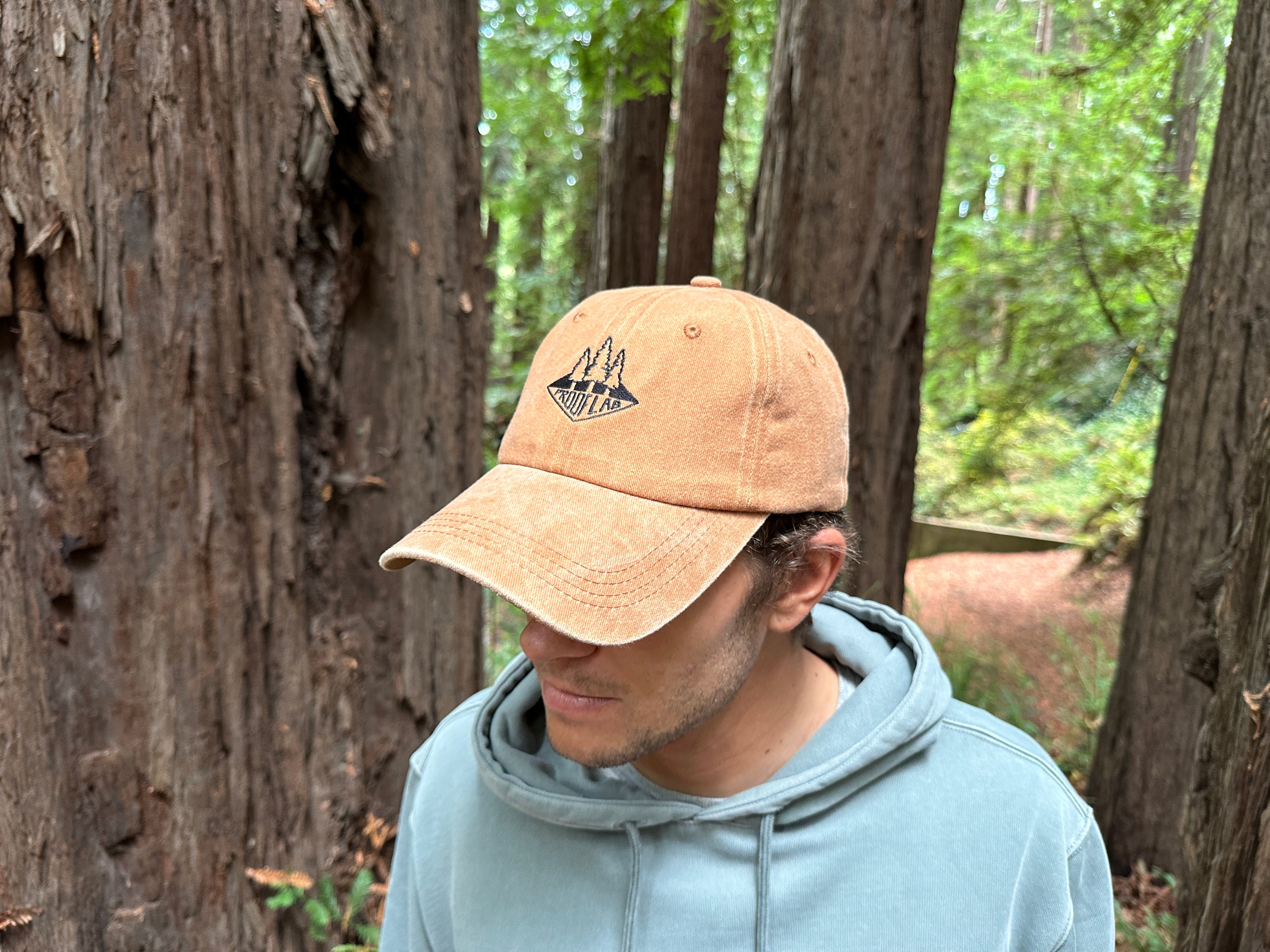 Proof Lab Embroidered Roots Hat