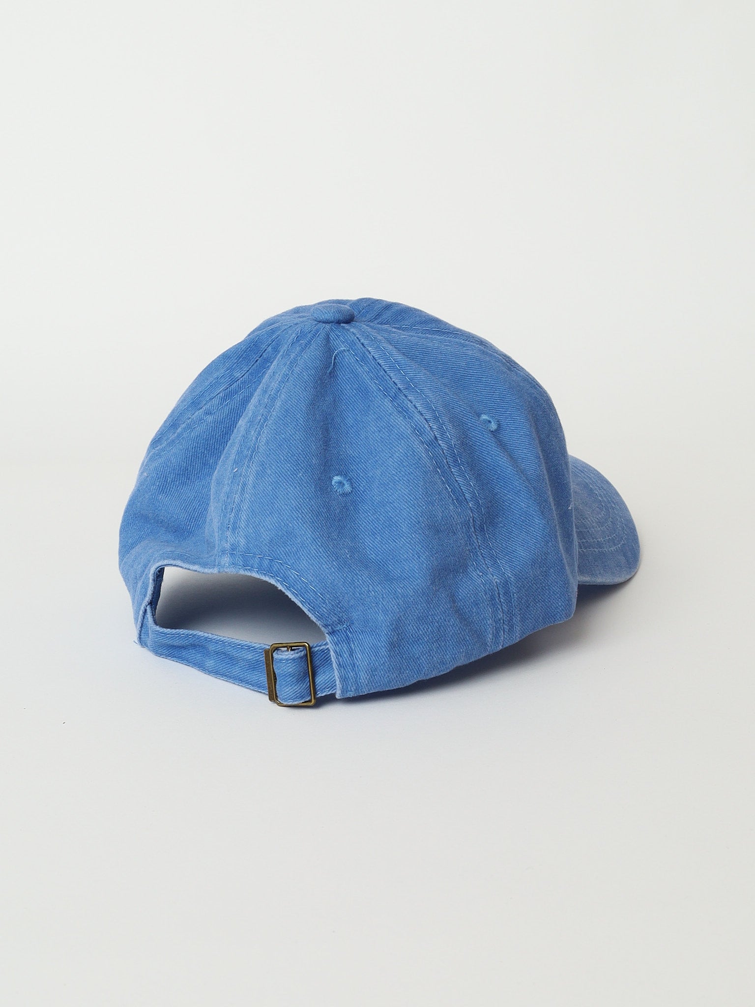 Proof Lab Embroidered Roots Hat