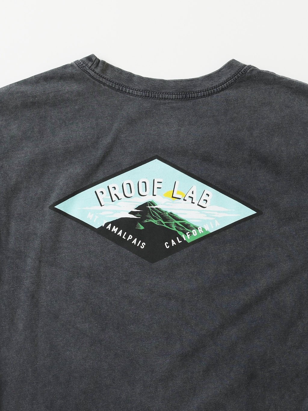 Proof Lab Vintage Tam Tee